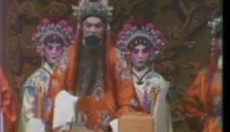 1979版豫剧《花打朝》高清下载｜马金凤经典演绎 传统名剧在线畅享下载
