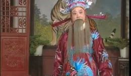 庐剧《雪中送子》全集下载，郑宏文胡俊陈应兰主演，六集完整呈现下载