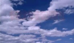 庐剧《妈妈再爱我一次》全四集下载，马晓梅领衔演绎，经典母子情温情呈现下载