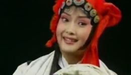 豫剧《三更生死缘》全集下载｜王红丽领衔主演，经典连台本戏在线获取