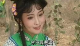豫剧《风雨行宫》选段王红丽演唱，经典唱腔演绎凄美爱恋，戏曲爱好者必听下载