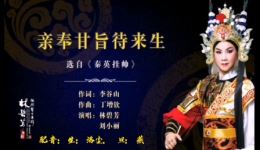 潮剧《亲奉甘旨待来生》选段在线观看，林碧芳等名家演绎，经典戏曲资源下载下载