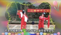 越剧《孔雀东南飞·洞房》汪云兰丁玉珍演唱，经典洞房片段在线下载下载