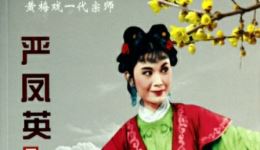 严凤英王少舫主演黄梅戏《夫妻观灯》舞台纪录片,经典怀旧戏曲在线观看下载 严凤英王少舫主演黄梅戏《夫妻观灯》舞台纪录片,经典怀旧戏曲在线观看下载