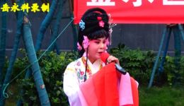 豫剧《红楼梦》选段下载袁英经典演唱，品味戏曲艺术之美下载