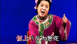 吕剧《小姑贤》全场资源下载，郭清清主演，经典传统喜剧戏曲下载
