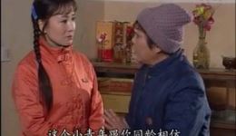 庐剧经典现代戏《让爱重来》全集在线观看下载