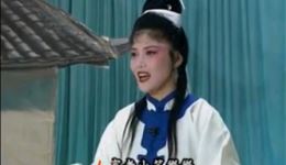 庐剧《双寡妇上坟》选段下载 - 马晓梅经典演唱，品味传统戏曲韵味下载
