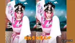楚剧《吴汉杀妻》选段 桑玉演唱 传统经典戏曲在线下载下载