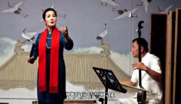 河南坠子《尉氏人挺住》李爱红演唱，国家级非遗传承人倾情演绎，传统曲艺佳作下载