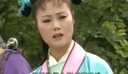 庐剧《八珍汤》全集下载｜吴南野陈应兰主演，四集完整剧情在线观看下载