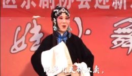 京剧《武家坡》高清资源下载｜李桃芝陈望全主演经典折子戏下载