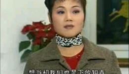 庐剧《吃饼子套颈子》选段在线观看刘长芳、陈应兰经典演绎，领略地方戏曲风采下载