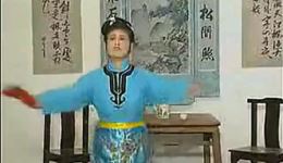 庐剧《毛来穷戏老婆》1选段总二集 夏小二主演 安徽地方戏曲下载下载