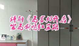 评剧《马寡妇开店》经典片段下载坐马嘶鸣红尘路，狄仁杰赶考奇遇温情故事
