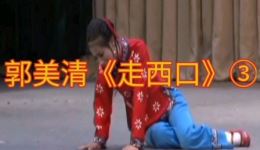 二人台经典《走西口》郭美清小甜瓜演唱，原汁原味呈现走西口艰辛故事下载