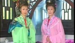 庐剧《不讲良心人变狗》全集下载 | 李剑钱小燕主演 总四集高清资源