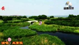 豫剧戏歌《让神州大地国泰民安》王素花演唱 经典戏曲作品在线下载