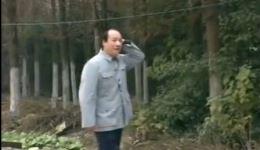 庐剧《大鼻子误事》选段在线下载 肖美义经典演唱 地方戏曲资源