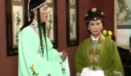 庐剧《苦菜花》全集下载吴南野、陈应兰主演，总六集资源速领下载