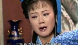 庐剧《苦菜花》全集下载｜吴南野陈应兰主演 总六集高清资源在线获取下载