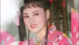 庐剧《郑小娇》选段在线下载，魏晓波汪丽精彩演唱，经典戏曲不容错过下载