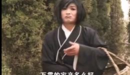 庐剧《拿妖》选段下载单本赵三经典演绎，正宗地方戏曲资源速取下载