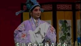 豫剧《孟丽君》全集下载_章兰演绎经典才女传奇戏曲资源