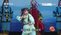 歌仔戏《哪吒》第3集下载 - 漳州市新世纪歌仔戏剧团精品剧集资源