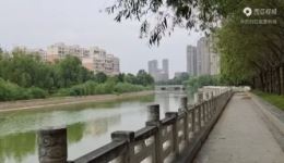 河南越调《卖箩筐》片段毛爱莲何全志经典演唱，传统戏曲资源下载