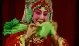 豫剧《花打朝》马金凤经典演唱片段下载，小郎门外连声请原声呈现下载