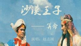 沙漠王子 算命