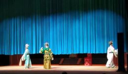 婺剧《狸猫换太子》李妃告御状片段下载，汪桂婉马晓英精彩演绎大团圆结局下载