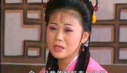 庐剧《隔层肚皮隔层山》选段全集下载，六集完整呈现，地方戏曲经典收藏