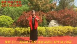 豫剧《小二黑结婚》选段，崔淑云经典演唱，重温经典戏曲魅力下载