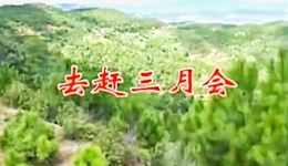 云南山歌《老司机带带我》原版下载，雷敏敏等原唱，高清正版山歌资源下载