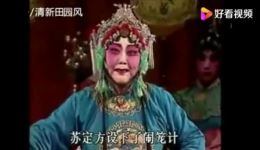 豫剧经典《花打朝》马金凤演唱，传统名剧在线下载，精彩剧情不容错过下载