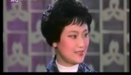 盘妻索妻
