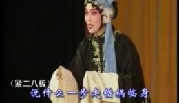 豫剧《包青天》精彩片段郑玲玲演绎秦香莲，一步走错祸临身，包拯断案显正义下载