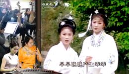 安徽庐剧《秦雪梅》精彩片段下载｜经典悲情大戏，完整剧情资源一键获取