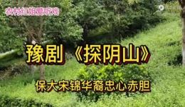 豫剧经典《探阴山》李根旺演唱，保大宋忠心赤胆名段，名家名段戏曲资源下载下载