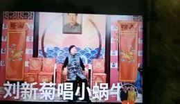 豫剧《风雨故园·小蜗牛》刘新菊演唱选段 经典戏曲在线欣赏