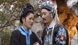 庐剧《薛仁贵射死亲生子》全集下载 魏小波精彩演绎 总四集完整呈现