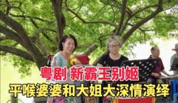 粤剧《新霸王别姬》全场震撼演绎，黄春强马友民深情献唱，经典悲壮剧情在线下载下载