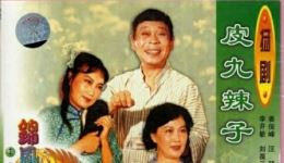 扬剧《皮九辣子》中集在线观看 扬州市扬剧团经典现代戏资源下载下载