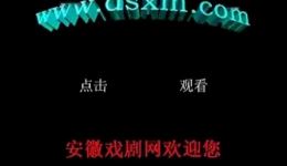 庐剧《老来难》主演:朱德顺、孙晓云、朱德利 庐剧《老来难》主演:朱德顺、孙晓云、朱德利