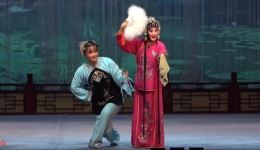 评剧《花为媒》全剧下载 - 杨蕾主演经典评剧资源，天津评剧白派青年团呈现