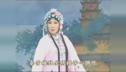 扬剧《秦雪梅独坐绣楼芳心惆怅》李开敏演唱,经典戏曲资源在线下载 扬剧《秦雪梅独坐绣楼芳心惆怅》李开敏演唱,经典戏曲资源在线下载