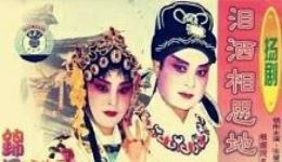扬剧《泪洒相思地》02集高清下载 张爱华李正太主演 高邮扬剧团经典剧目 扬剧《泪洒相思地》02集高清下载 张爱华李正太主演 高邮扬剧团经典剧目