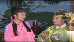 庐剧《红楼梦》欣赏版全集下载,总六集经典戏曲资源在线获取 庐剧《红楼梦》欣赏版全集下载,总六集经典戏曲资源在线获取
